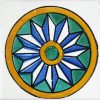 COSMOS