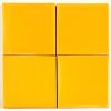 MARIGOLD HM - Image 2