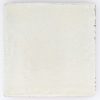 PF WHITE HM